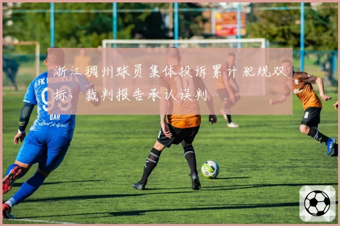 浙江稠州球员集体投诉累计犯规双标，裁判报告承认误判