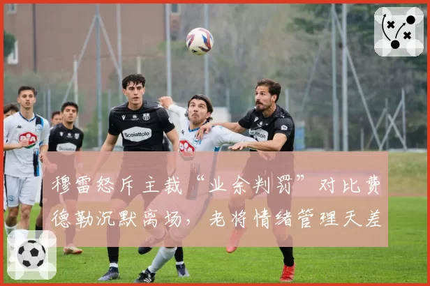 穆雷怒斥主裁“业余判罚”对比费德勒沉默离场，老将情绪管理天差地别