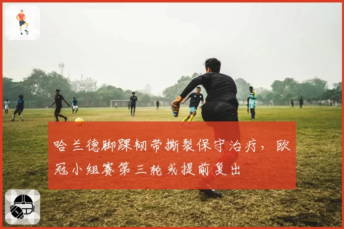 哈兰德脚踝韧带撕裂保守治疗,欧冠小组赛第三轮或提前复出
