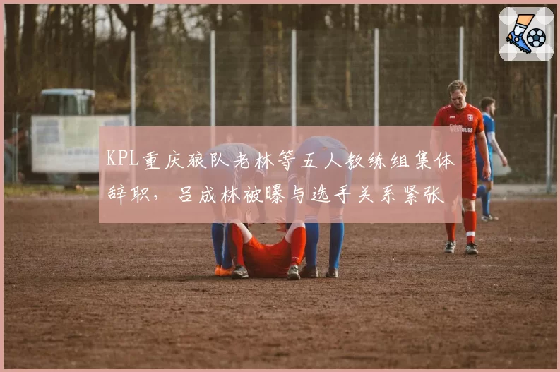 KPL重庆狼队老林等五人教练组集体辞职，吕成林被曝与选手关系紧张