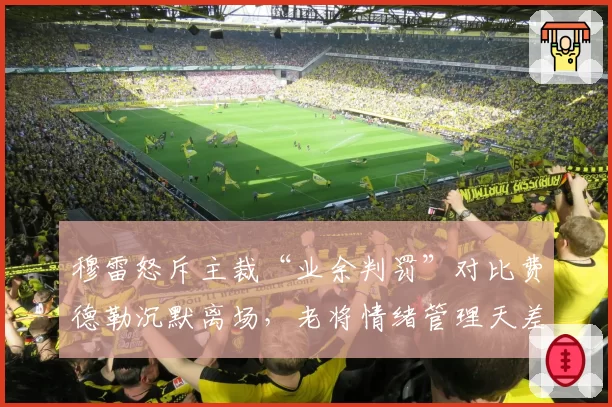 穆雷怒斥主裁“业余判罚”对比费德勒沉默离场,老将情绪管理天差地别